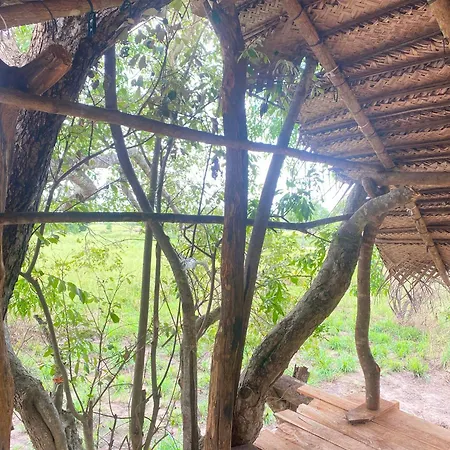 Habarana Wildwood Treehouse Hotel Exterior photo