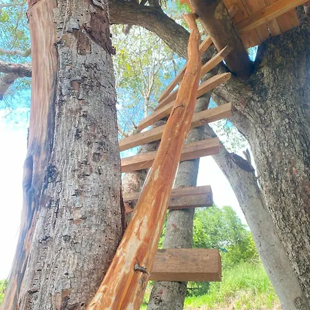 Habarana Wildwood Treehouse Hotel Exterior photo