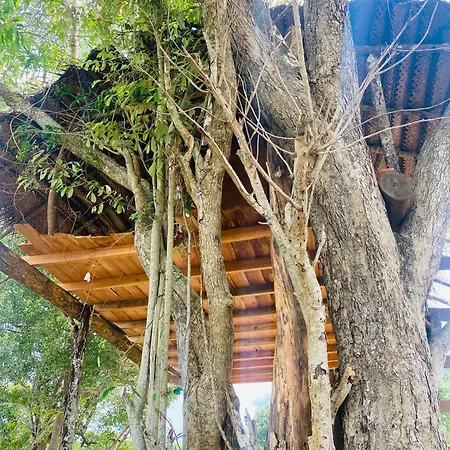 Habarana Wildwood Treehouse Hotel Exterior photo