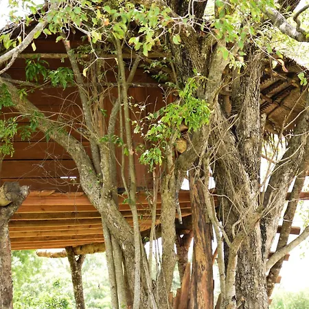 Habarana Wildwood Treehouse Hotel Exterior photo