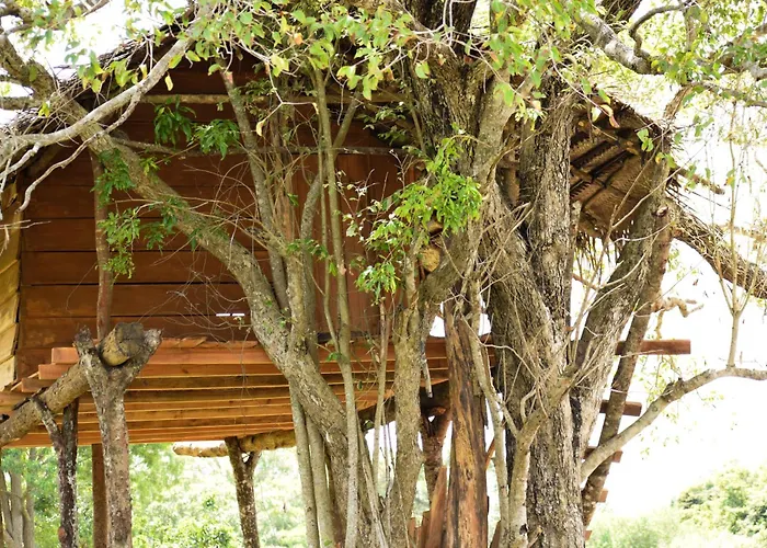 Habarana Wildwood Treehouse