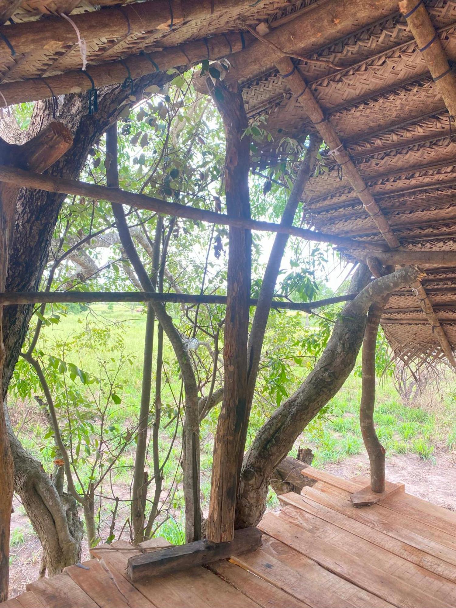 Campsite Wildwood Treehouse Habarana