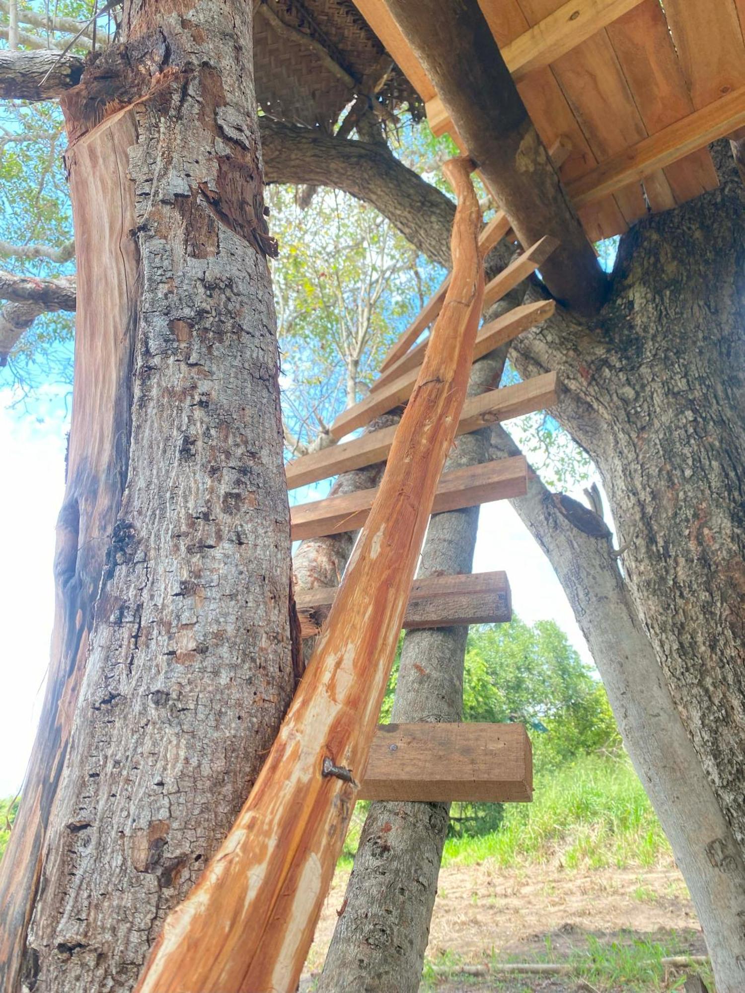 Wildwood Treehouse Campsite