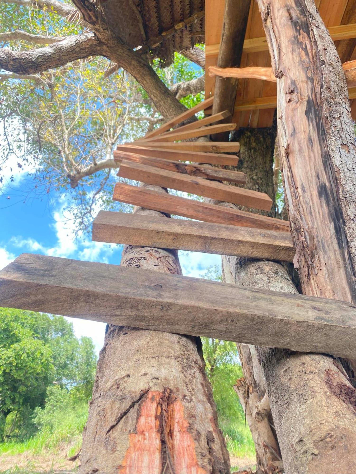 Wildwood Treehouse Campsite *