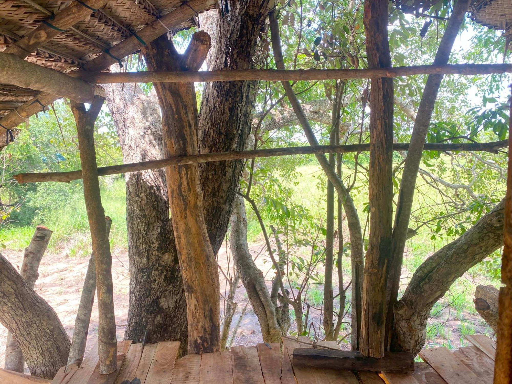 Wildwood Treehouse Habarana
