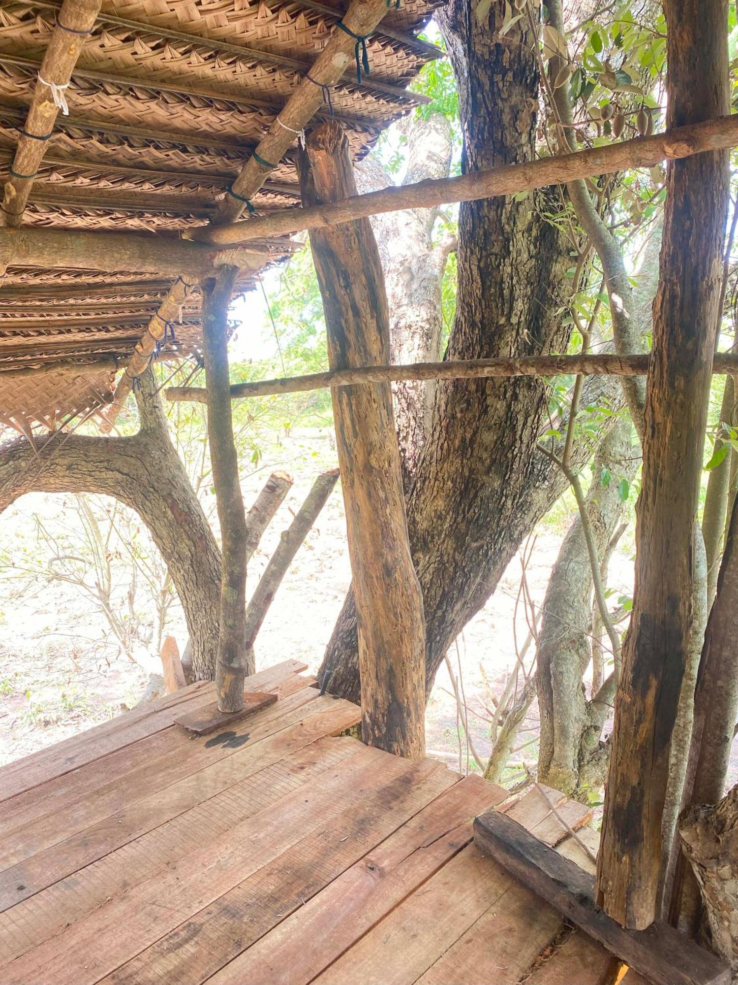 Campsite Wildwood Treehouse
