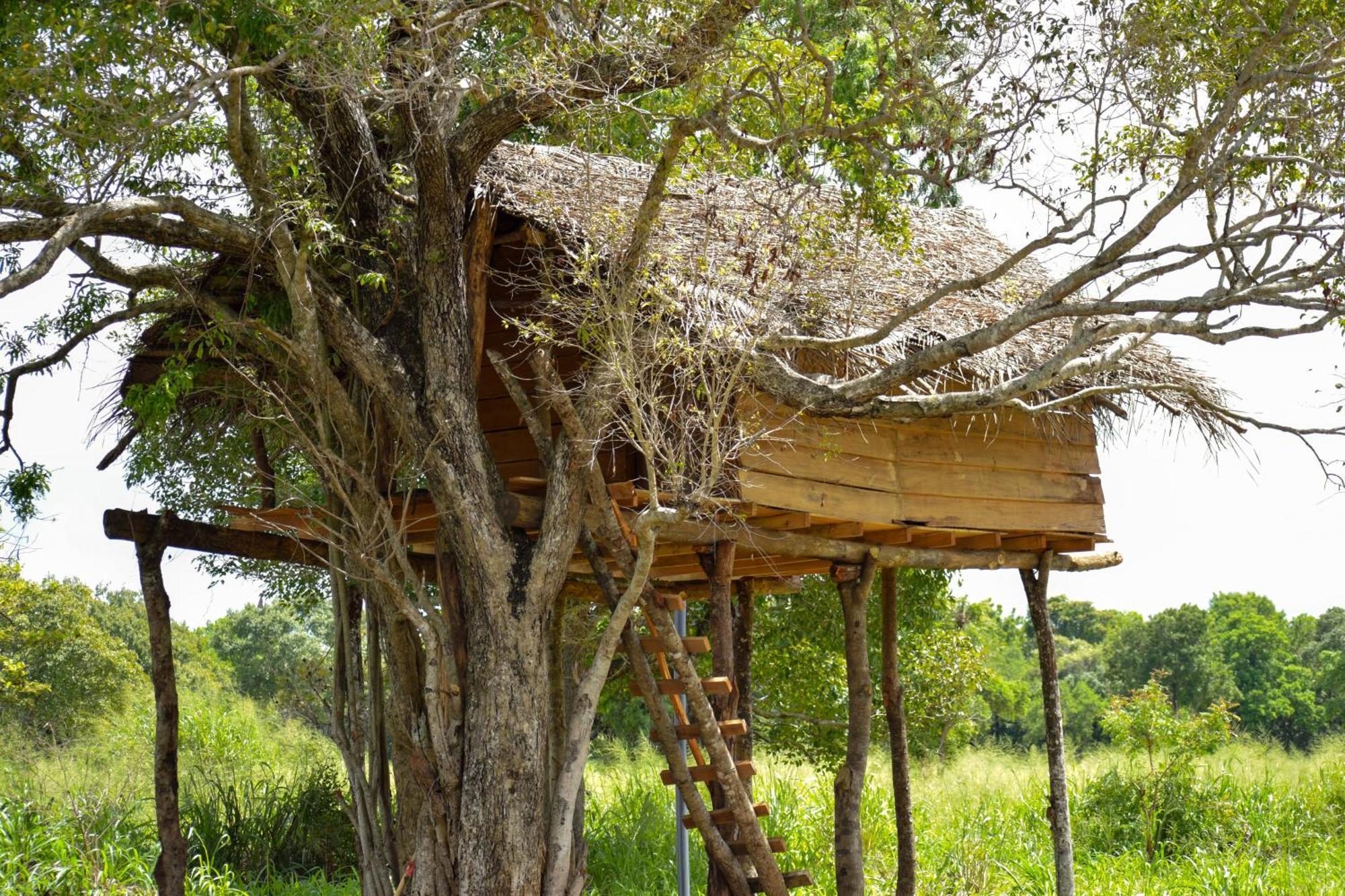Wildwood Treehouse