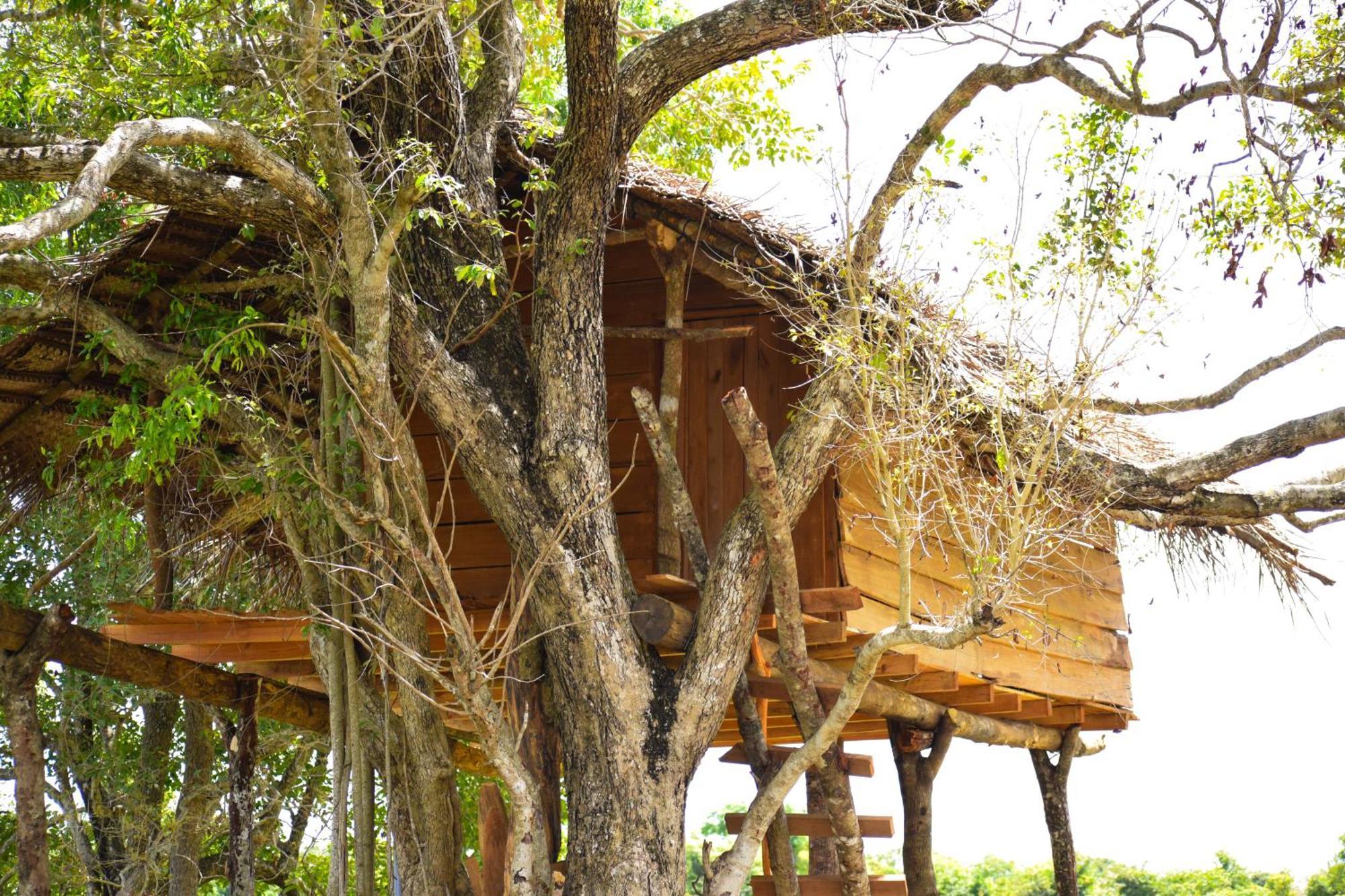 Campsite Wildwood Treehouse Habarana