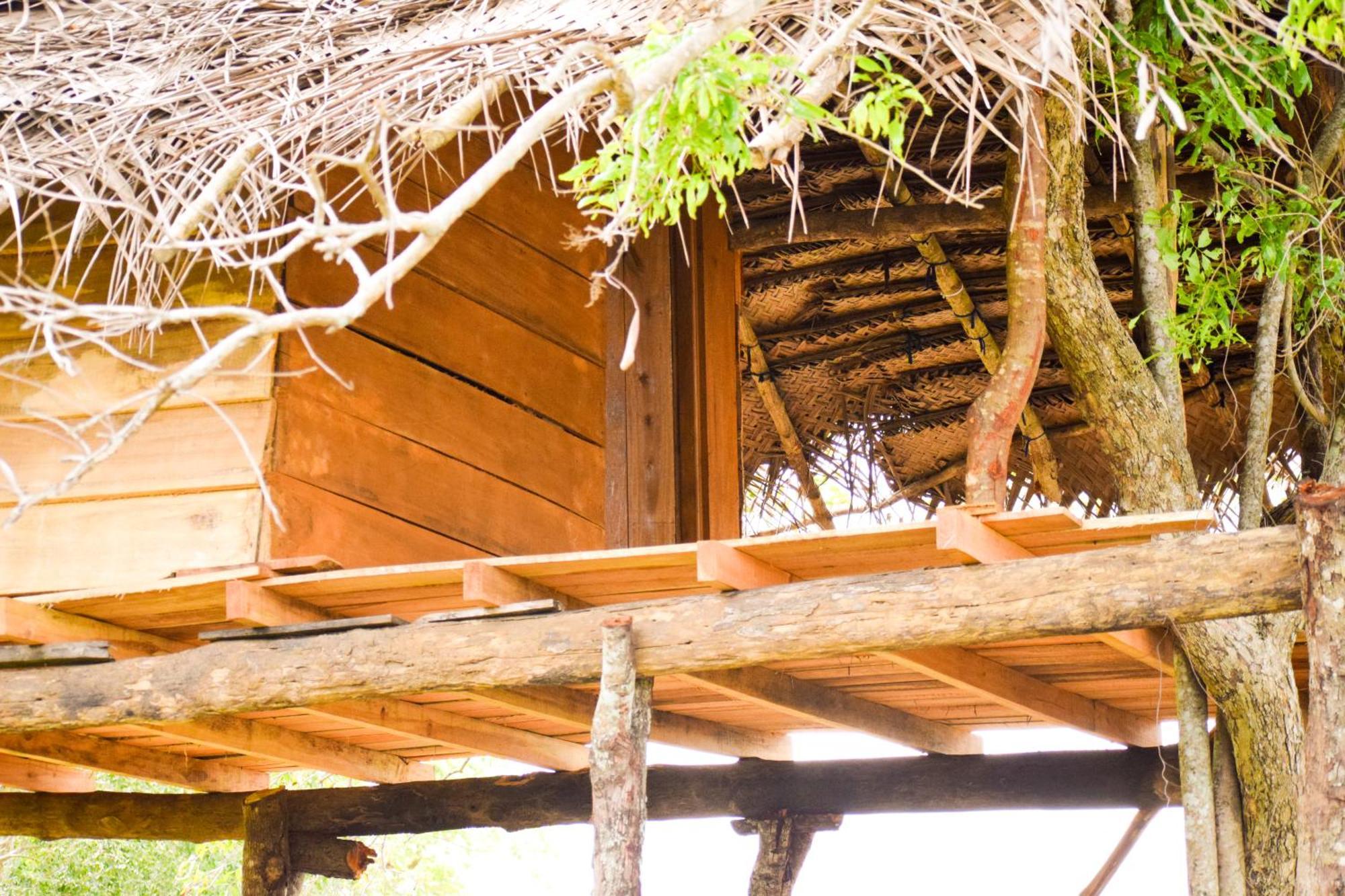 Wildwood Treehouse Habarana