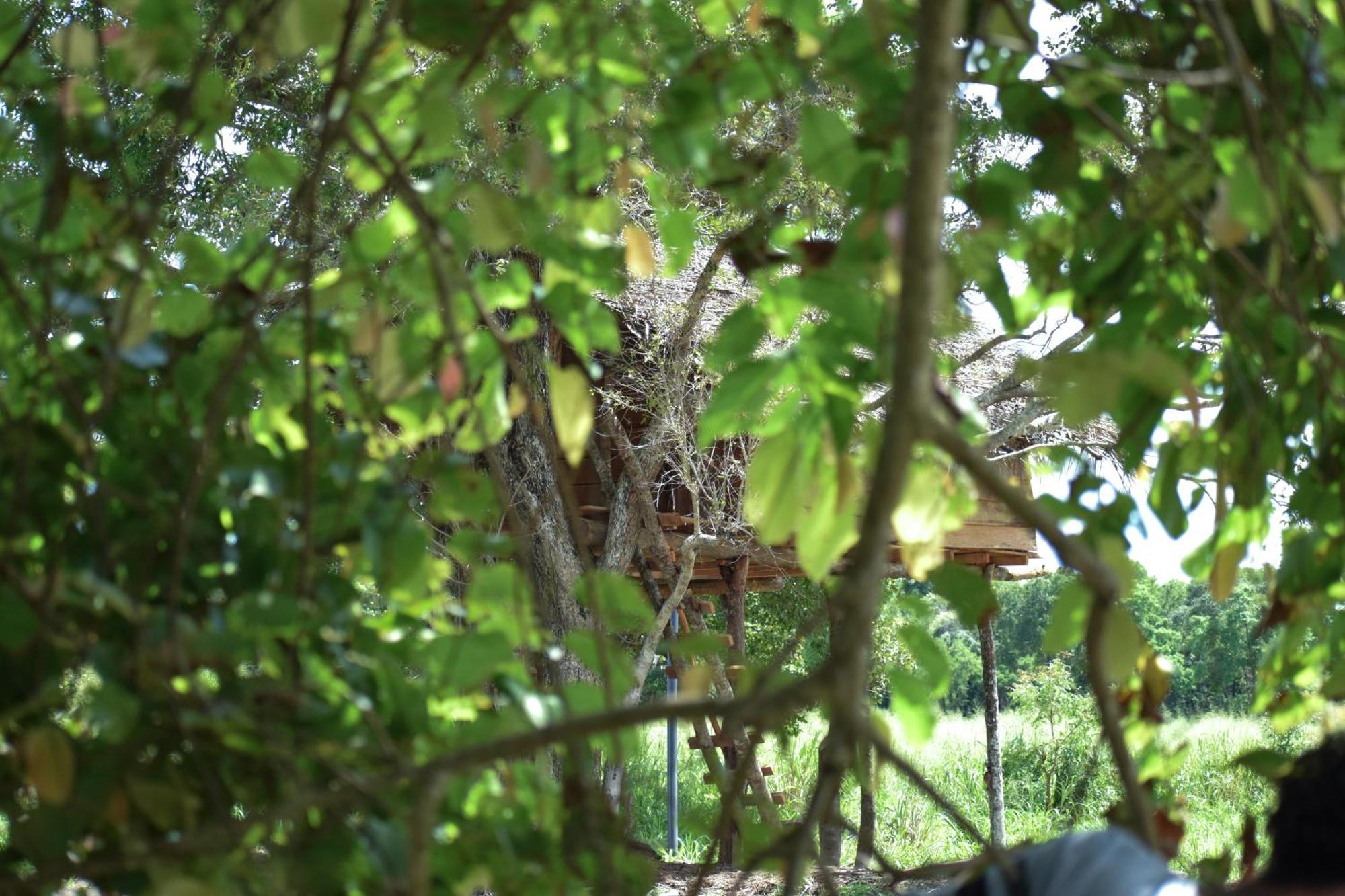 Wildwood Treehouse Habarana