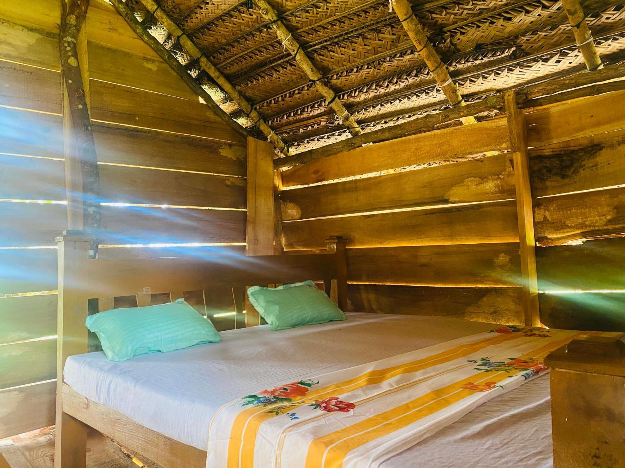 Wildwood Treehouse Campsite