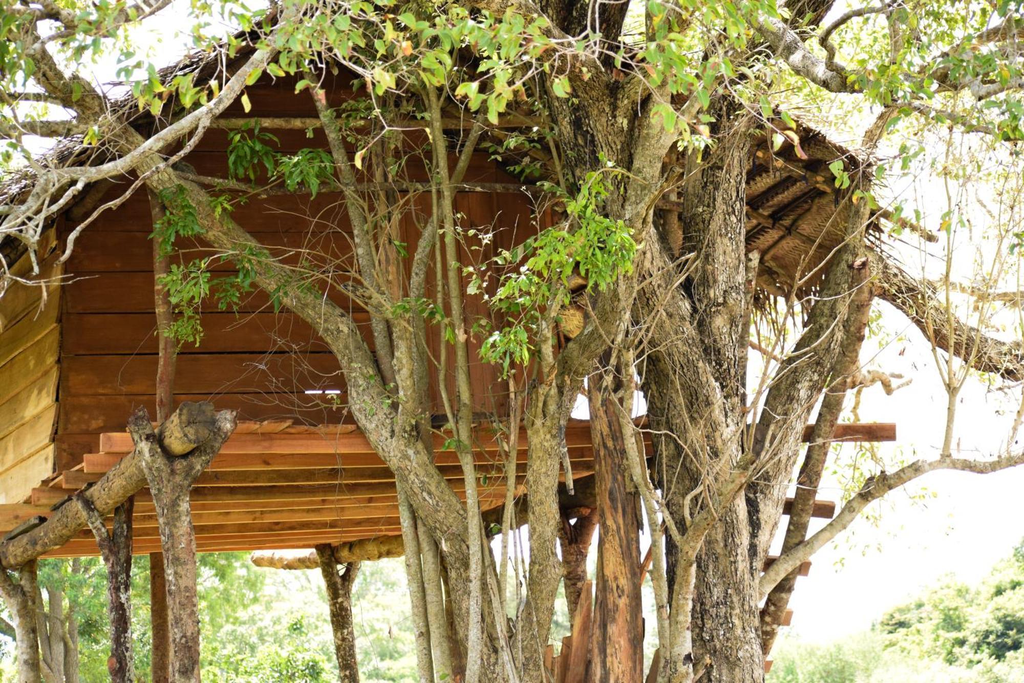 Campsite Wildwood Treehouse
