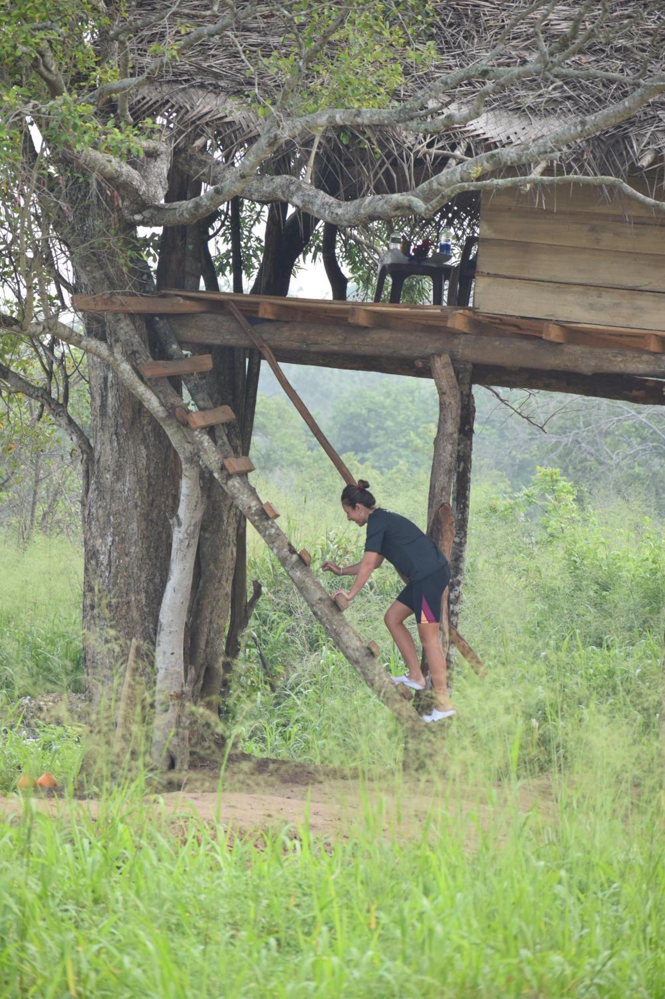 Wildwood Treehouse Habarana