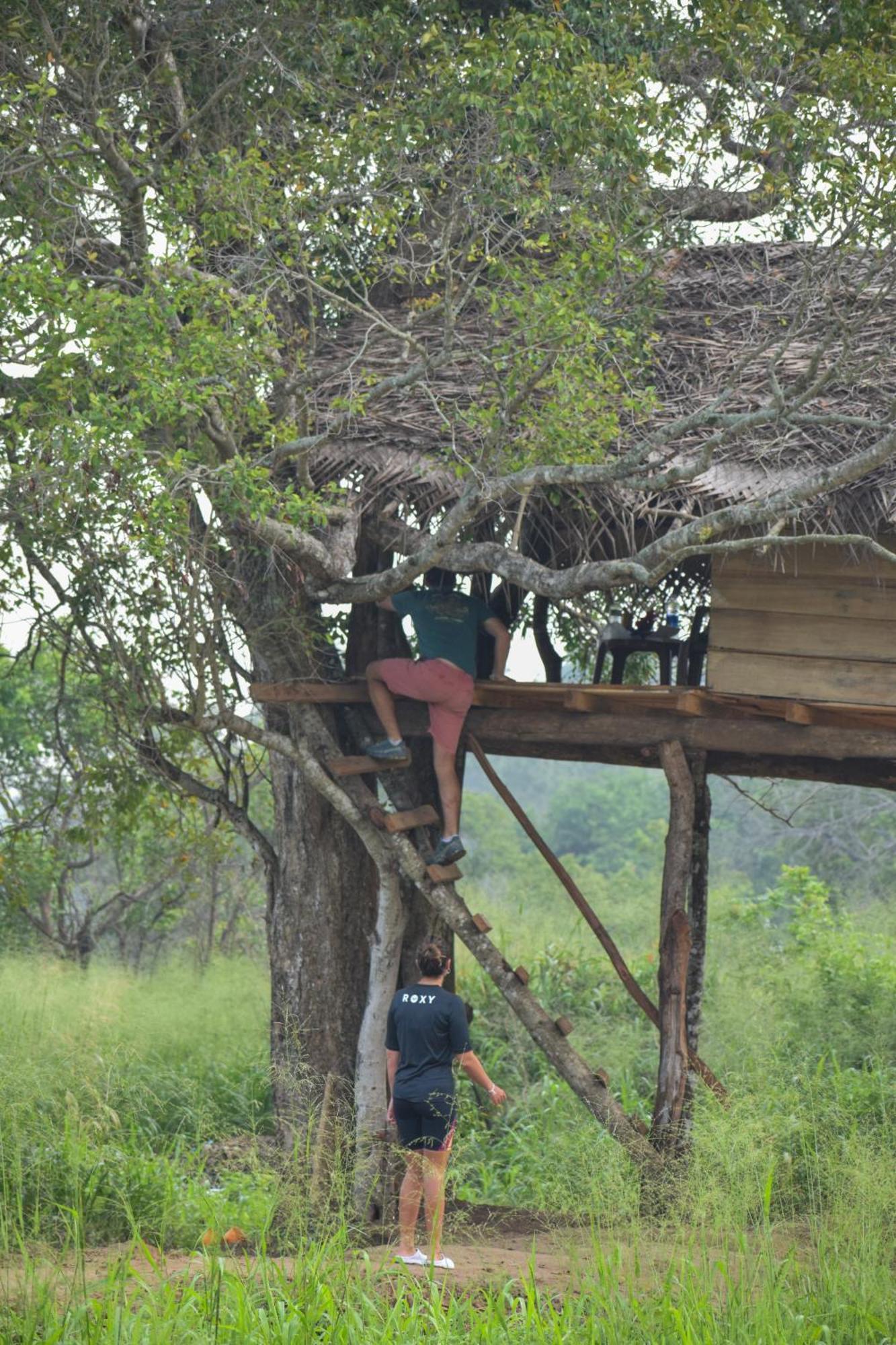 Campsite Wildwood Treehouse *